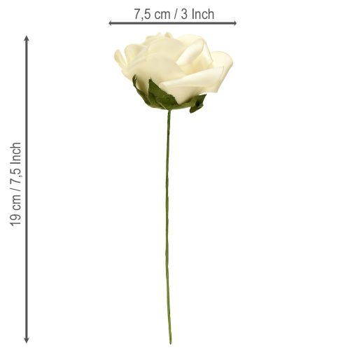 Artikel Skumrosor med stjälkblommor skumkräm Ø7,5cm 18 st