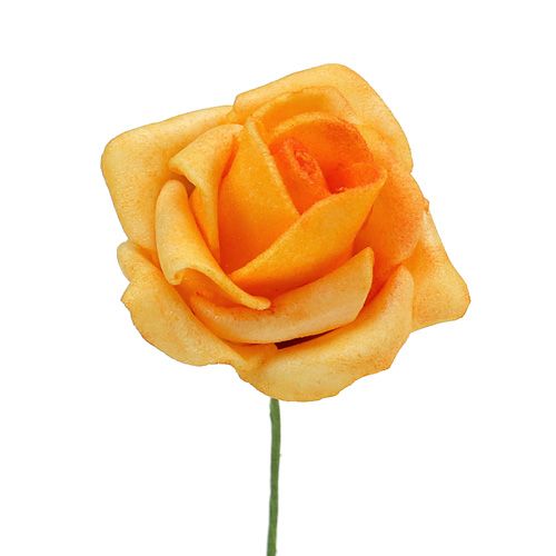 Floristik24 Skumrosa Ø4,5cm aprikos 36 st