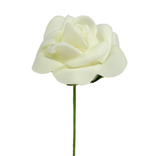 Skumros Ø3,5cm Creme 48 st | Floristik24.se