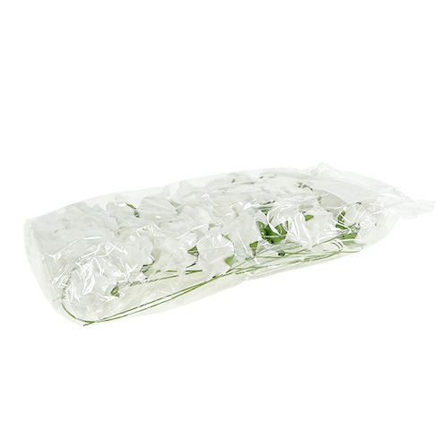 Artikel Foam Rose Ø4,5cm vit 36 st
