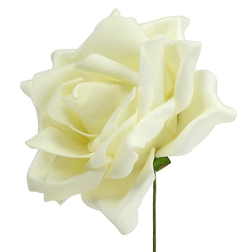 Floristik24 Skumroskräm Ø15cm 4 st