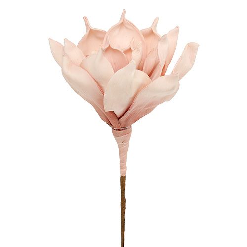 Floristik24 Skumblomma magnolia rosa Ø15cm L65cm