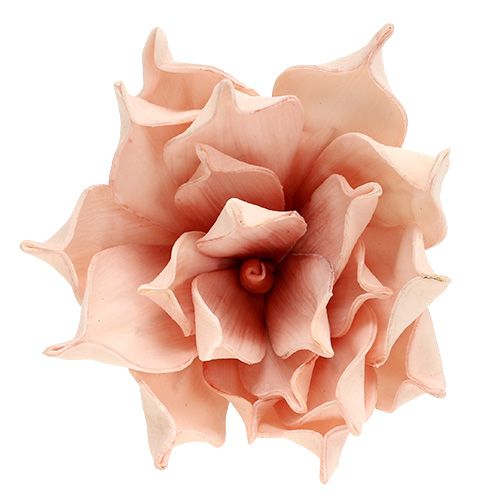 Artikel Skumblomma magnolia rosa Ø15cm L65cm
