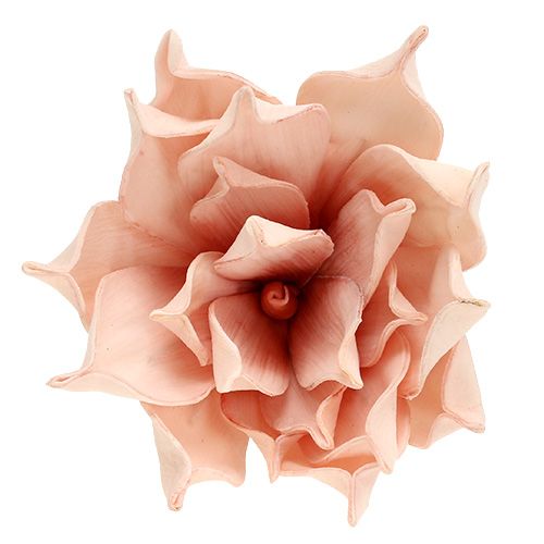 Floristik24 Skumblomma magnolia rosa Ø15cm L65cm