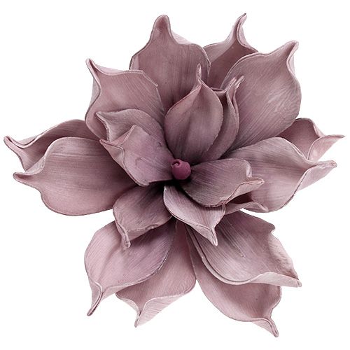 Floristik24 Skumblomning Magnolia Berry Ø15cm L67cm