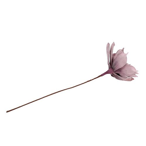 Floristik24 Skumblomning Magnolia Berry Ø15cm L67cm