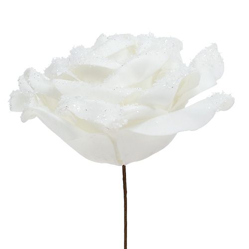 Floristik24 Skumrosa vit Ø10cm snöad 6st