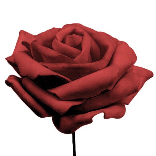Artikel Skumrosa röd Ø10cm 8 st