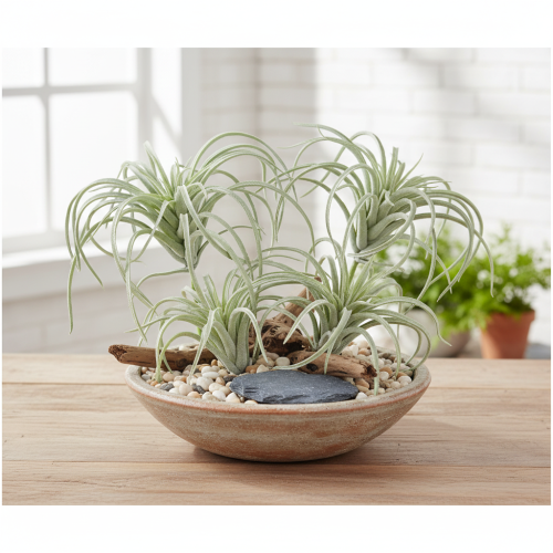 Artikel Tillandsia suckulenta konstgjorda gröna växter 13cm