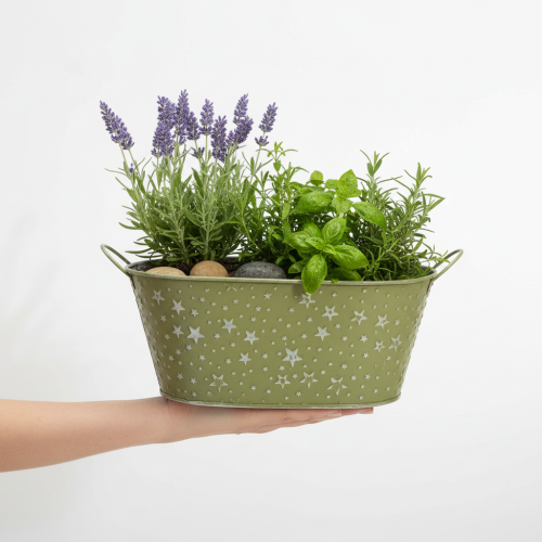 Artikel Oval metallskål med stjärnor och handtag, grön, 31×16 cm, H12,5 cm