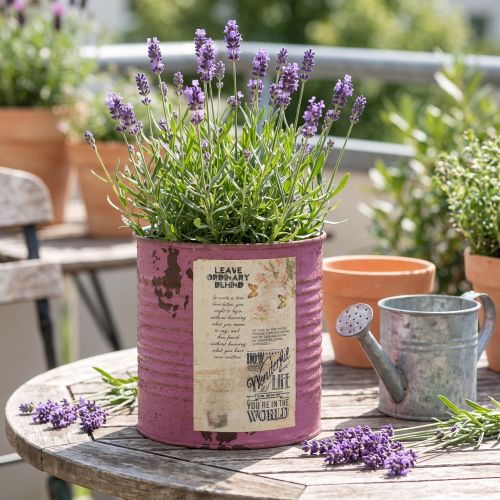 Vintage blomlåda lila metall sommardekoration Ø11cm H10,5cm | Floristik24.se