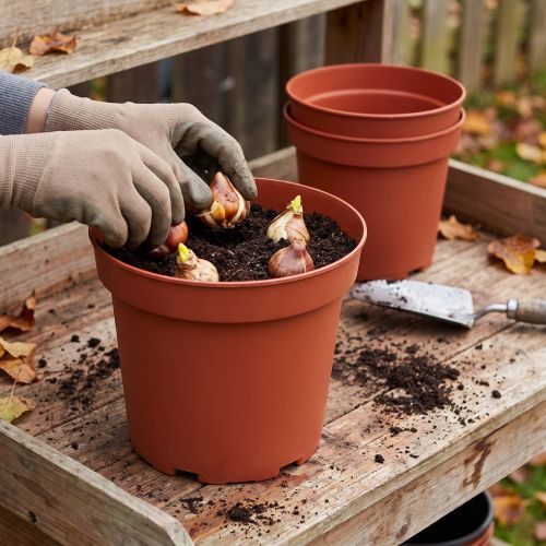 Växtkruka plast Ø29cm 10st | Floristik24.se