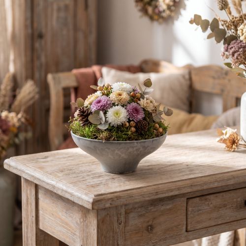 Dekorativ skål med bas, rund växtskål, grå, Ø19cm, H8cm | Floristik24.se