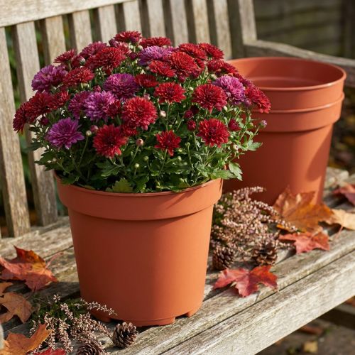 Växtkruka plast Ø23cm 10st | Floristik24.se