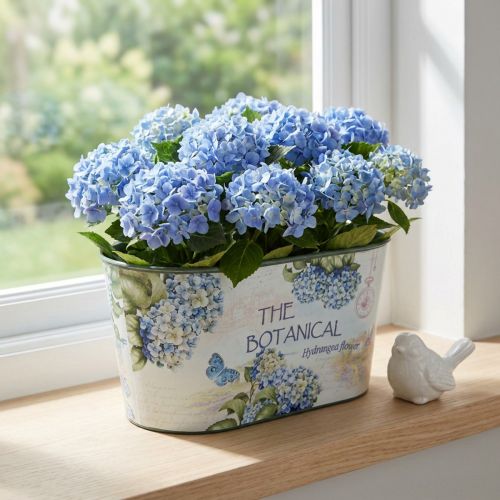 Blomskål oval hortensia plastskål 21,5×12,5cm H11cm | Floristik24.se
