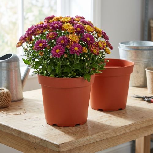 Växtkruka plast Ø21cm 10st | Floristik24.se