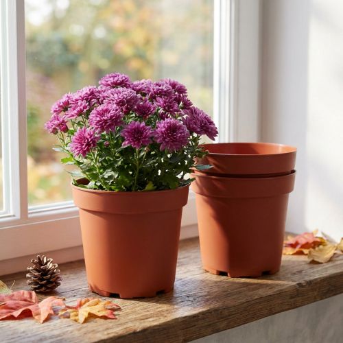 Växtkruka plast Ø17cm 10st | Floristik24.se