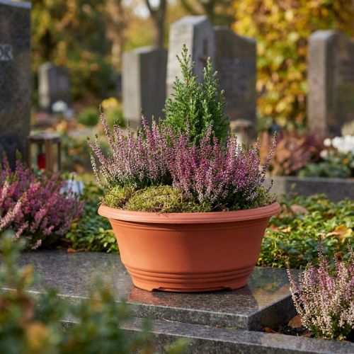Plastskålar Ø20cm blomskålar terrakotta 5 st | Floristik24.se