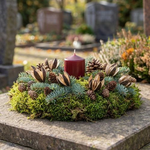 Vildlilja Naturlig Dekoration Exotiska Torkade Blommor 6-8cm 50 st | Floristik24.se