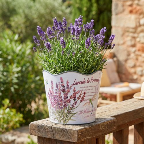 Planteringskärl plast blomkruka sommar lavendel Ø16,5cm H13,5cm | Floristik24.se