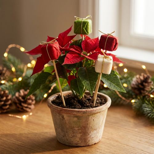 Blomplugg Jul Julpaket 2,5cm 15 st | Floristik24.se