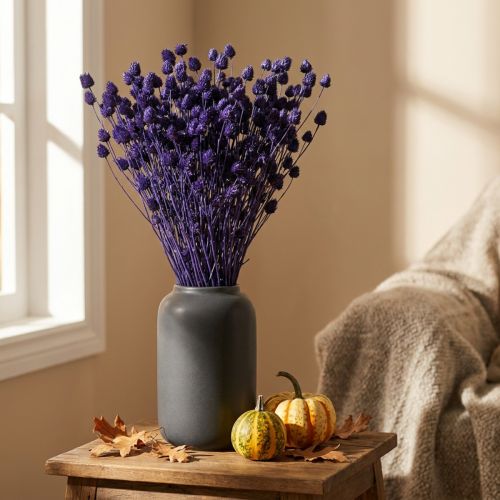 Jordgubbstistel Torrtisteltistel Dekoration Violett 44-58cm 100g | Floristik24.se