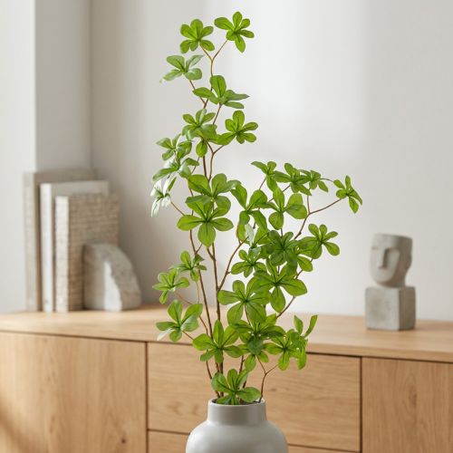 Konstgjord Schefflera-gren,