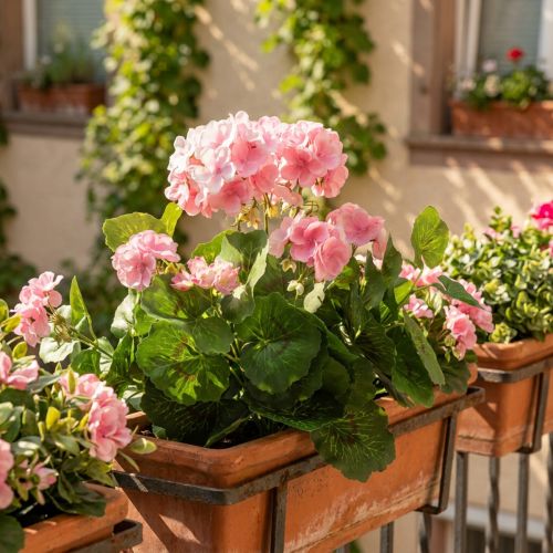 Pelargon konstgjord blomma Rosa pelargonbuske konstgjord 7 blommor H38cm | Floristik24.se