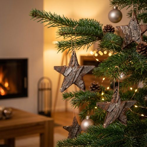 Dekorstjärnor tall natur julgransdekorationer tallstjärnor 6cm 12 st | Floristik24.se