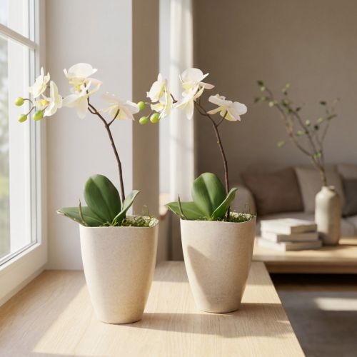 Artikel Orkidékruka, blomkruka, plast, beige melerad, 13,5x13 cm, H16,5 cm, 2 stycken