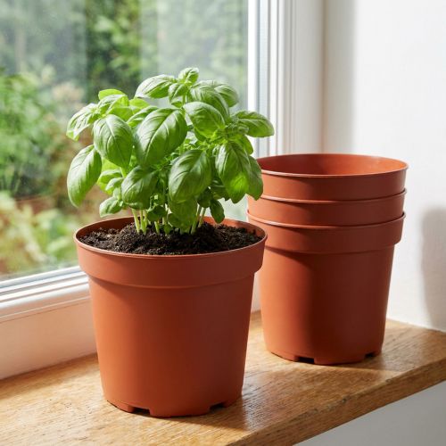 Växtkruka plastkruka Ø15cm 10st | Floristik24.se