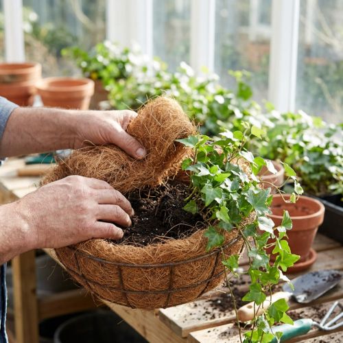 Kokosfiber naturlig växtfiber naturlig fiber hantverksmaterial 1 kg | Floristik24.se