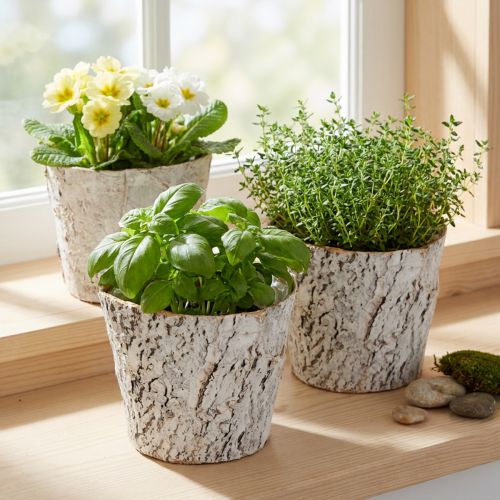 Kruka med barkliknande utseende, perfekt för rustik inredning och växtdekoration, 12 cm, 4 delar | Floristik24.se