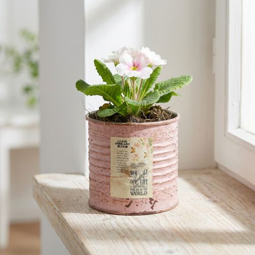 Blomkruka dekorativ plåt rund antik ros metallplanter Ø8cm H7,5cm | Floristik24.se