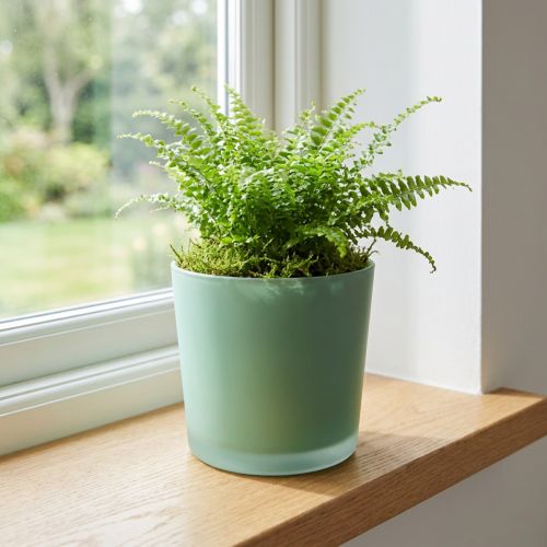 Blomkruka i glas grön plantering glasbalja Ø11,5cm H11cm | Floristik24.se