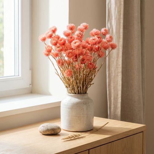 Torkade blommor keps blommor lax halm blommor H42cm | Floristik24.se