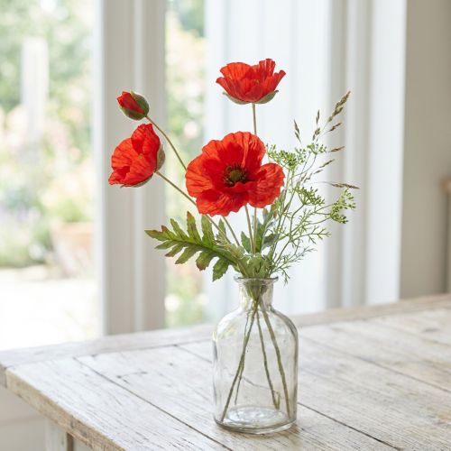Vallmo dekorativ trädgårdsblomma med 3 blommor röd L70cm | Floristik24.se