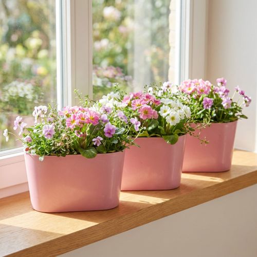 Artikel Växtskål oval rosa dekorationsskål plast 20×10×11cm 3st