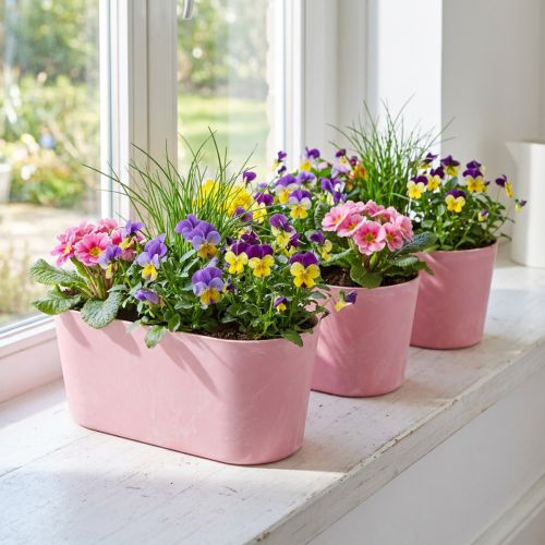 Artikel Planteringsbåt planteringsskål oval rosa 27×11×10cm 3st