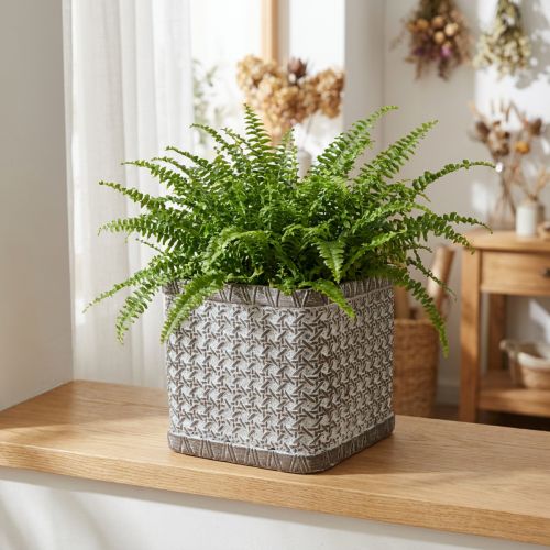 Planterkruka Planteringskruka Keramik Blomkruka 15×15×15cm | Floristik24.se