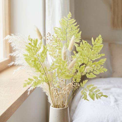 Ormbunkar: Konserverat, högkvalitativt naturmaterial för långvariga dekorationsprojekt, 40 cm, 10 stycken | Floristik24.se