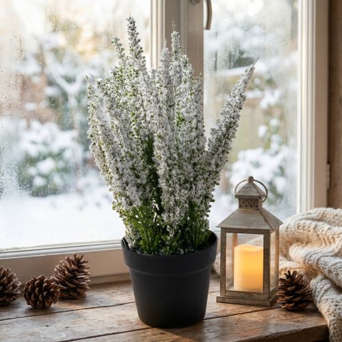 Erika vit ljungkvast ljung konstväxt H26cm | Floristik24.se