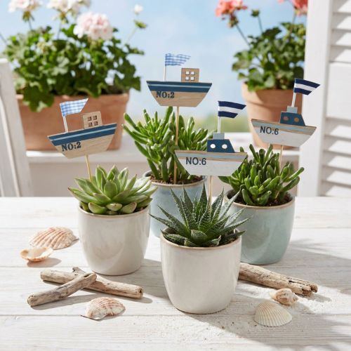 Dekorativt pluggskepp trä vit blå natur 8cm H37cm 24 st | Floristik24.se