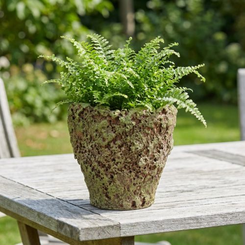 Kruka rustik mossliknande Ø17cm H16,5cm | Floristik24.se
