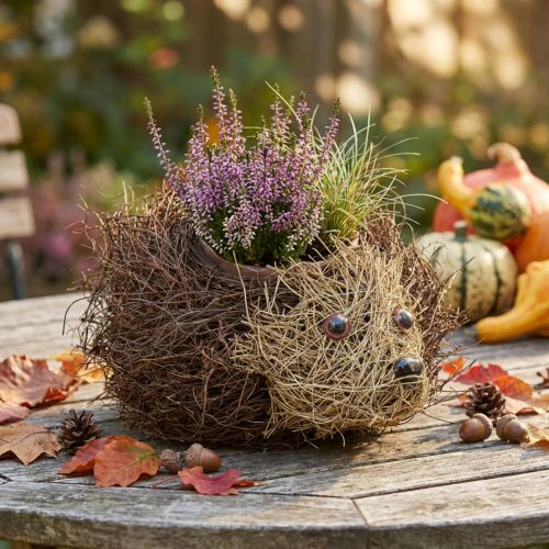 Igelkottplanter gjord av vinrankor 22 cm x 25 cm | Floristik24.se