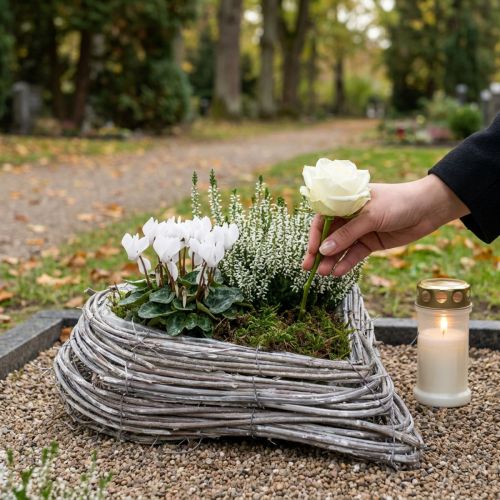 Rottinghjärta Växtdekoration Hjärtformad Rottingrankor Vit 20x24cm | Floristik24.se