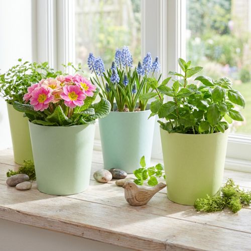 Papperskruka, cachepott, kruka blå/grön Ø11cm H10cm 4st | Floristik24.se