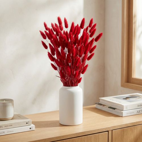 Kaninsvansgräs (Lagurus) Torkad Röd 60 cm 50 g Torkad Blomdekoration | Floristik24.se