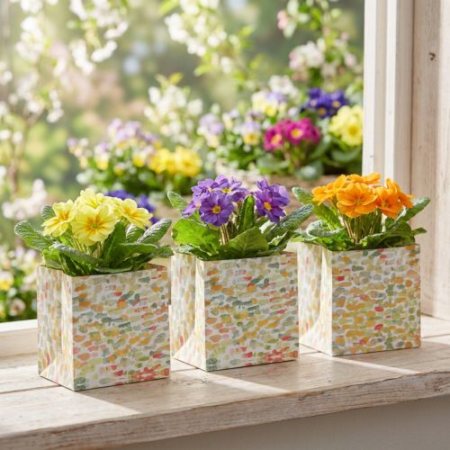 Presentpåse växtpåse presentpåse mönstrad 12cm 8 st | Floristik24.se
