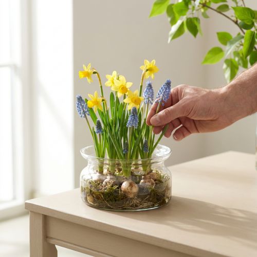 Glasskål dekorativ skål glas flytande skål Ø16cm H8cm | Floristik24.se
